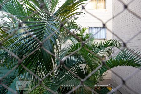 Vista do Quarto 1 de apartamento para alugar com 2 quartos, 53m² em Vila Iório, São Paulo