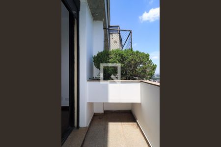 Apartamento para alugar com 369m², 4 quartos e 4 vagas Apartamento para alugar com 369m², 4 quartos e 4 vagasSuíte 1