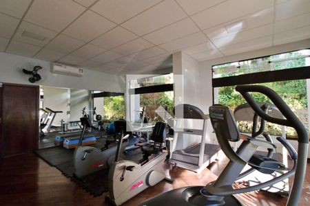 Apartamento para alugar com 369m², 4 quartos e 4 vagas Apartamento para alugar com 369m², 4 quartos e 4 vagasÁrea comum - Academia