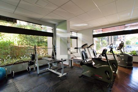 Apartamento para alugar com 369m², 4 quartos e 4 vagas Apartamento para alugar com 369m², 4 quartos e 4 vagasÁrea comum - Academia