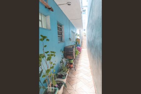 Casa à venda com 185m², 5 quartos e 3 vagas Casa à venda com 185m², 5 quartos e 3 vagasQuintal