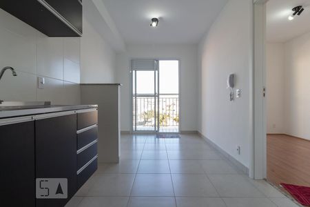 Sala / Cozinha / Lavanderia de apartamento à venda com 1 quarto, 28m² em Vila Palmeiras, São Paulo