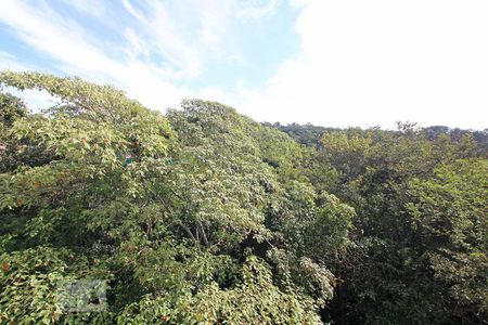 Vista de apartamento para alugar com 2 quartos, 50m² em Parque Rincão, Cotia