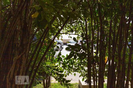 Apartamento à venda com 50m², 2 quartos e 1 vagaVista do Quarto 1