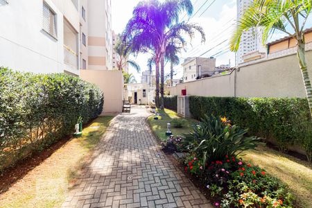 Apartamento à venda com 67m², 2 quartos e 1 vagaÁrea comum - Área externa