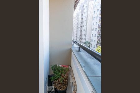 Varanda  de apartamento à venda com 3 quartos, 60m² em Vila Bela, São Paulo