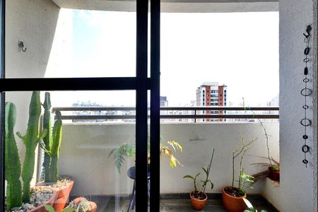 Varanda da Sala de apartamento para alugar com 1 quarto, 33m² em Vila Pompéia, São Paulo