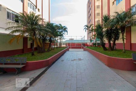 Apartamento para alugar com 55m², 2 quartos e 1 vaga Apartamento para alugar com 55m², 2 quartos e 1 vagaÁrea Externa