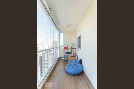 Varanda Sala de apartamento para alugar com 3 quartos, 76m² em Vila Ipojuca, São Paulo