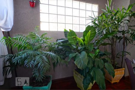 Casa à venda com 300m², 4 quartos e 2 vagasSala de jantar