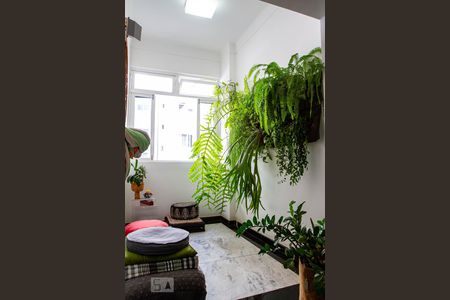 Sala de apartamento para alugar com 3 quartos, 100m² em Leblon, Rio de Janeiro