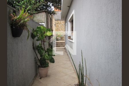 Casa à venda com 413m², 5 quartos e 6 vagasCorredor Lateral