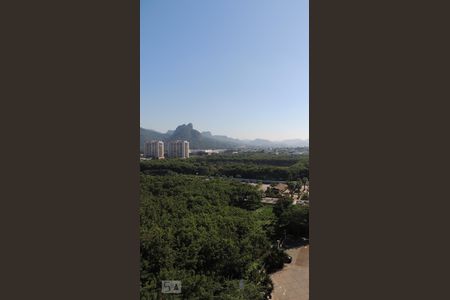 Apartamento para alugar com 75m², 2 quartos e 1 vagaVista Livre Floresta