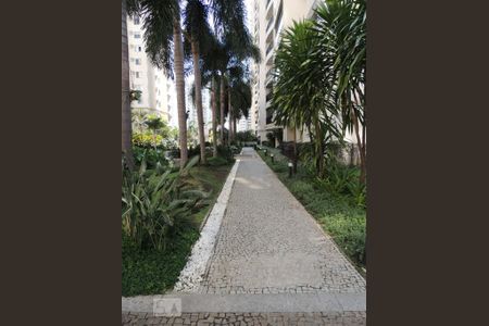 Apartamento para alugar com 75m², 2 quartos e 1 vagaÁrea comum