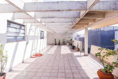 Apartamento para alugar com 87m², 2 quartos e sem vaga Apartamento para alugar com 87m², 2 quartos e sem vagaTerraço - Área Comum