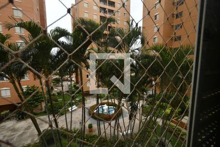 Vista do Quarto 1 de apartamento para alugar com 3 quartos, 70m² em Chácara da Barra, Campinas