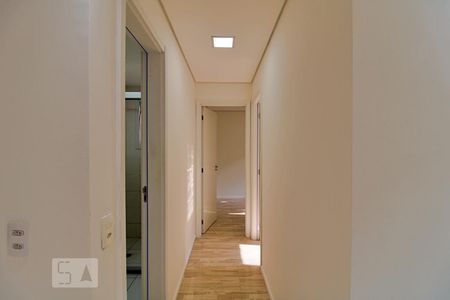 Corredor de apartamento para alugar com 2 quartos, 43m² em Jardim Helga, São Paulo