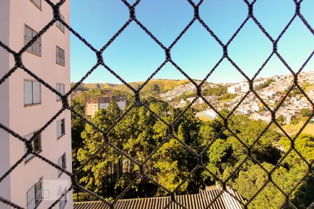 Vista da Sala de apartamento para alugar com 2 quartos, 53m² em Santa Terezinha, São Bernardo do Campo