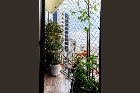 Sacada de apartamento à venda com 3 quartos, 93m² em Tucuruvi, São Paulo