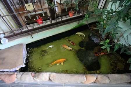 Casa à venda com 400m², 5 quartos e 3 vagasCozinha