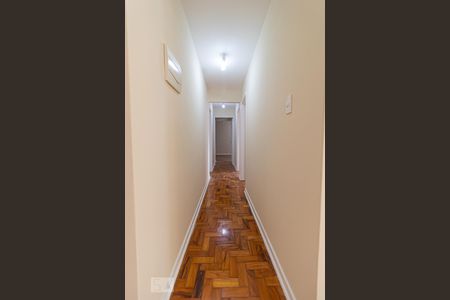 Corredor de apartamento para alugar com 3 quartos, 110m² em Bela Vista, São Paulo