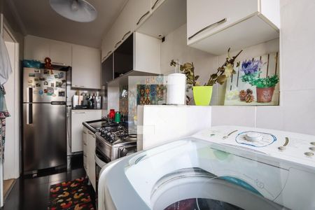 Lavanderia de apartamento para alugar com 2 quartos, 49m² em Paraisópolis, São Paulo