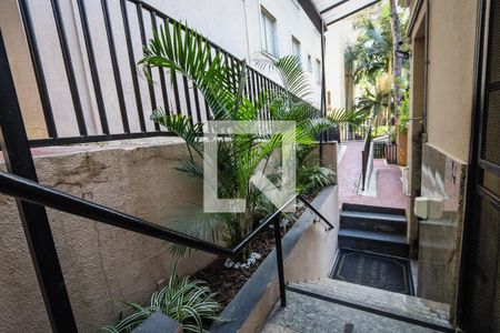 Área comum de apartamento para alugar com 2 quartos, 49m² em Paraisópolis, São Paulo