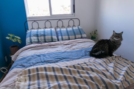 Apartamento à venda com 60m², 2 quartos e 1 vagaDetalhe