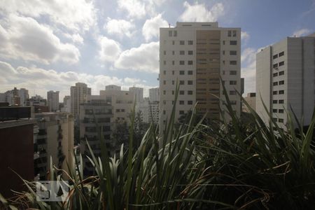 Apartamento para alugar com 306m², 4 quartos e 4 vagasVista da suíte 2