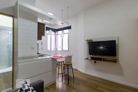 Sala de kitnet/studio para alugar com 1 quarto, 21m² em Laranjeiras, Rio de Janeiro