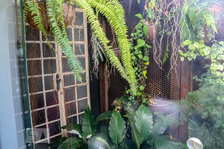 Casa à venda com 540m², 4 quartos e 5 vagasVaranda da Copa