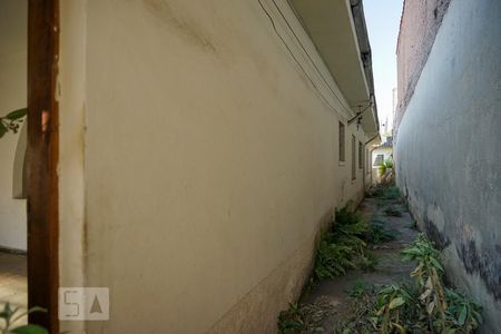 Casa à venda com 200m², 6 quartos e sem vaga Casa à venda com 200m², 6 quartos e sem vagaQuintal