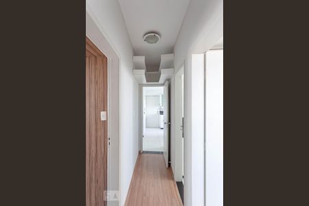 Corredor de apartamento para alugar com 3 quartos, 76m² em Sagrada Família, Belo Horizonte