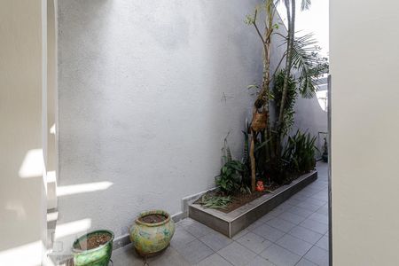 Casa à venda com 500m², 4 quartos e 6 vagasQuintal