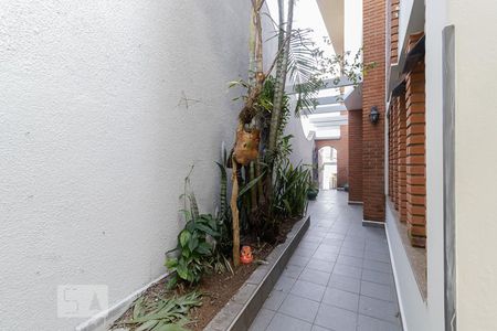 Casa à venda com 500m², 4 quartos e 6 vagasQuintal