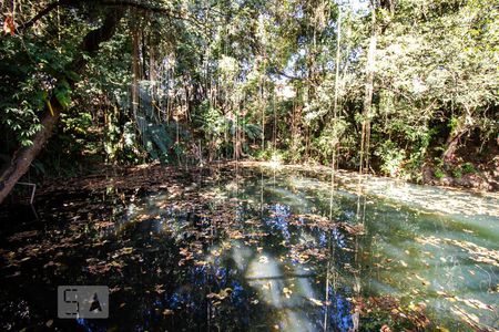 Apartamento para alugar com 60m², 2 quartos e 1 vaga Apartamento para alugar com 60m², 2 quartos e 1 vagaLago