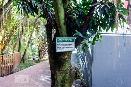 Apartamento para alugar com 60m², 2 quartos e 1 vaga Apartamento para alugar com 60m², 2 quartos e 1 vagaLago