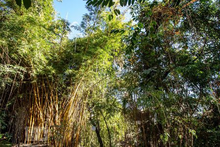 Apartamento para alugar com 60m², 2 quartos e 1 vaga Apartamento para alugar com 60m², 2 quartos e 1 vagaÁrea Verde