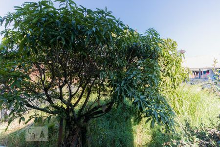 Casa à venda com 80m², 2 quartos e 5 vagas Casa à venda com 80m², 2 quartos e 5 vagasVista da Cozinha