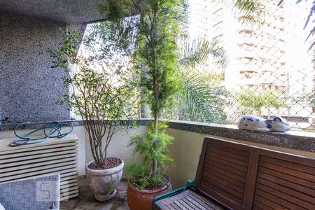 Apartamento à venda com 310m², 3 quartos e 2 vagasVaranda da Sala