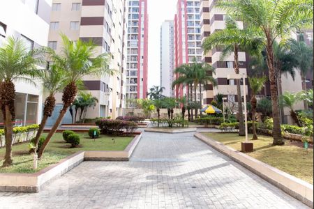 Apartamento para alugar com 56m², 2 quartos e 1 vagaQuadra Esportiva