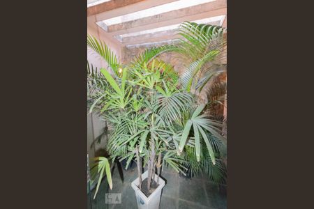 Casa à venda com 250m², 3 quartos e 2 vagasJardim