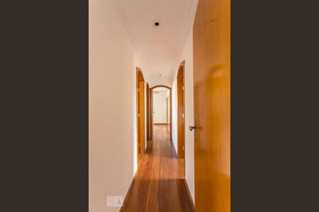 Corredor Quartos de apartamento para alugar com 4 quartos, 247m² em Cidade Nova, Belo Horizonte