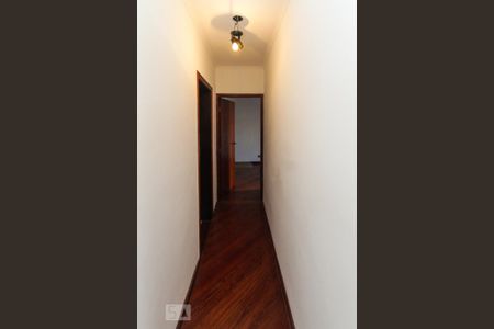 Corredor de apartamento para alugar com 2 quartos, 79m² em Vila Prudente, São Paulo