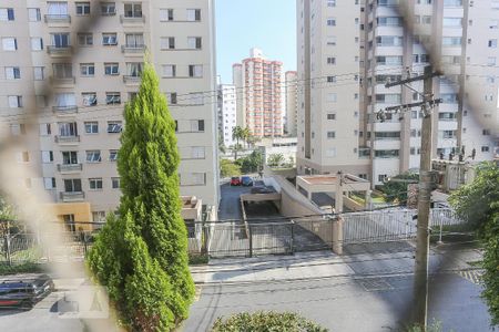 Apartamento à venda com 77m², 3 quartos e 1 vaga Apartamento à venda com 77m², 3 quartos e 1 vagaSuite Vista