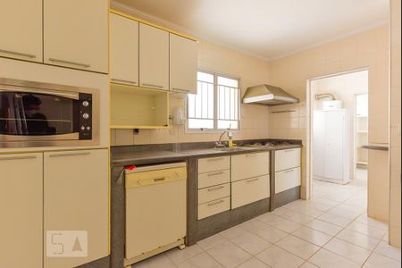 Cozinha de apartamento para alugar com 3 quartos, 136m² em Jardim Proença, Campinas