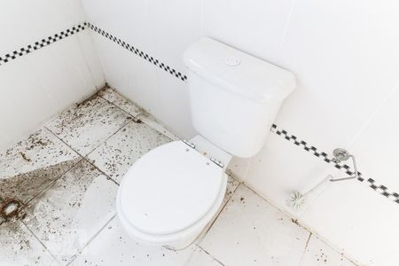 Casa para alugar com 190m², 2 quartos e 4 vagasBanheiro