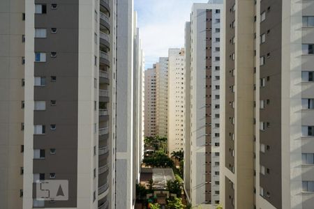 Apartamento para alugar com 234m², 4 quartos e 5 vagasVista da Suíte 2