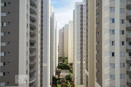 Apartamento para alugar com 234m², 4 quartos e 5 vagasVista da Suíte 3