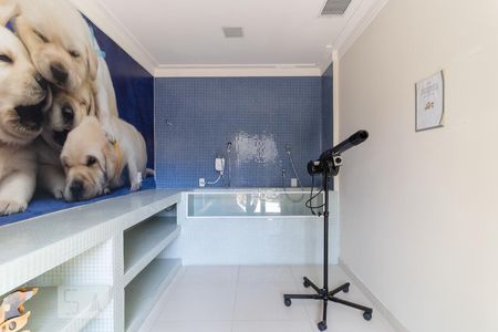 Apartamento à venda com 68m², 2 quartos e 1 vagaPet Care